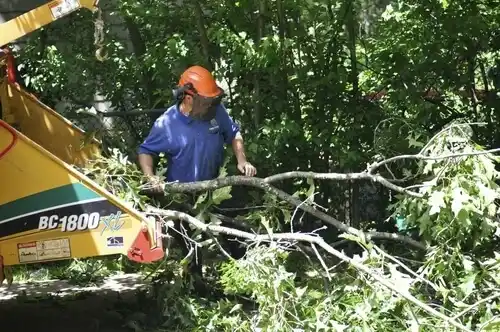 tree services Mathiston